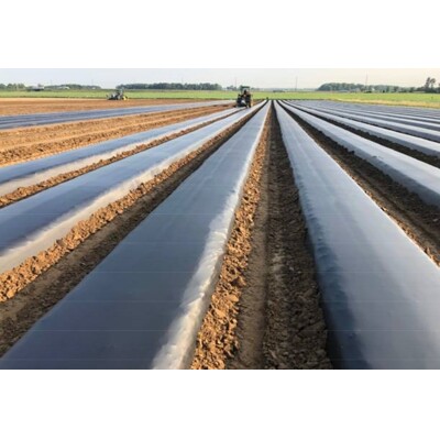 Mulčovacia fólia čierna Sotrafoil 0,9 X 2000m X 20 micron